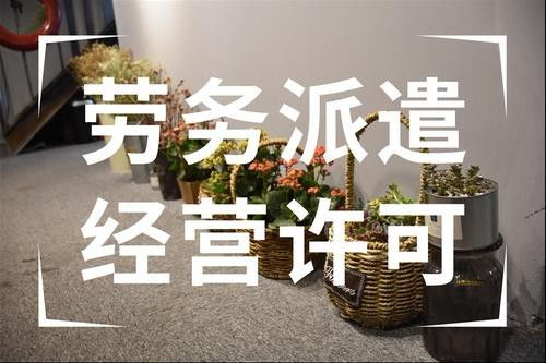 广东省开平市水囗劳务派遣劳务外包一对一的服务企业