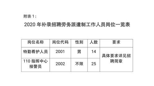 人员招聘 关于补录劳务派遣制工作人员招聘公告